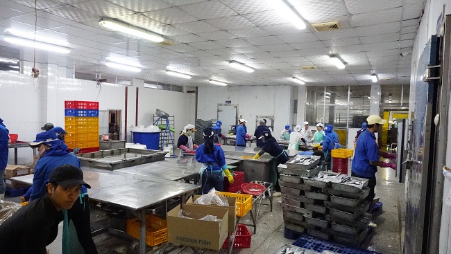 Công nhân trong ca làm việc của Nhà máy chế biến thủy sản Hưng Phong, Khu công nghiệp Quảng Phú, Tp. Quảng Ngãi. 