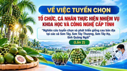 Thông báo tuyển chọn tổ chức, cá nhân thực hiện nhiệm vụ khoa học và công nghệ cấp tỉnh “Nghiên cứu tuyển chọn và phát triển  giống cau bản địa tại các xã Sơn Tây, Sơn Tây Thượng, Sơn Tây Hạ,  tỉnh Quảng Ngãi” (Lần 2)