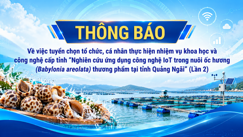 Thông báo Về việc tuyển chọn tổ chức, cá nhân thực hiện nhiệm vụ khoa học và  công nghệ cấp tỉnh “Nghiên cứu ứng dụng công nghệ IoT trong nuôi ốc hương (Babylonia areolata) thương phẩm tại tỉnh Quảng Ngãi” (Lần 2)