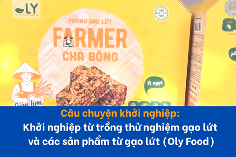 Khởi nghiệp từ trồng thử nghiệm gạo lứt và các sản phẩm từ gạo lứt (Oly Food)