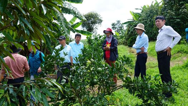 Kiểm tra, đánh giá mô hình thực hiện nhiệm vụ khoa học và công nghệ năm 20025
