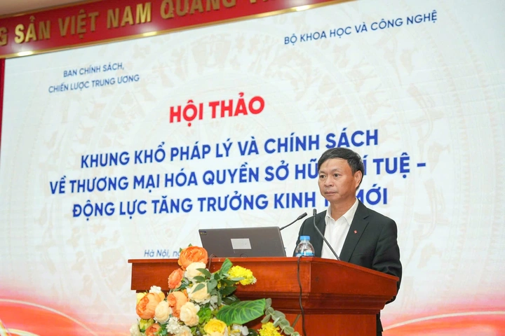 Thương mại hóa sở hữu trí tuệ: Động lực mới cho tăng trưởng kinh tế Việt Nam - Ảnh 2.