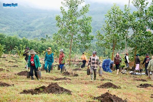 Báo và Phát thanh, Truyền hình Quảng Ngãi