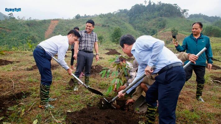 Báo và Phát thanh, Truyền hình Quảng Ngãi